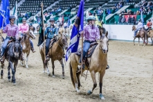 State 4-H Horse Show 2014